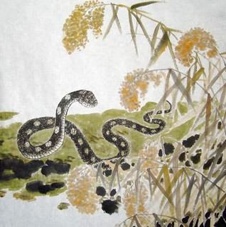 Chinese Snake Painting,50cm x 50cm,4449034-x