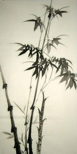 Bamboo,50cm x 100cm(19〃 x 39〃),2326044-z