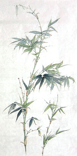 Bamboo,50cm x 100cm(19〃 x 39〃),2574052-z