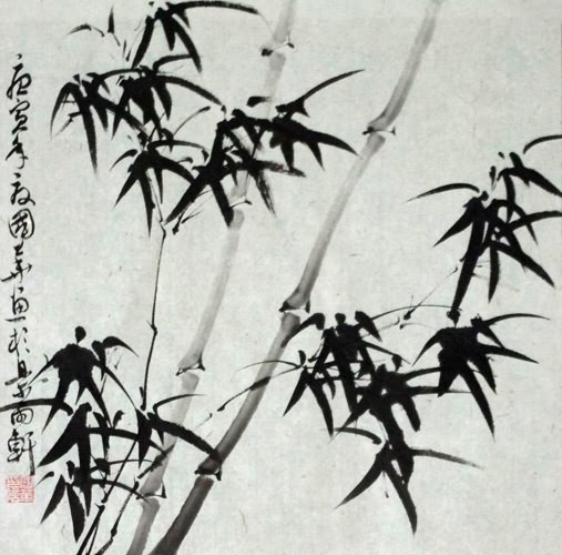 Bamboo,50cm x 50cm(19〃 x 19〃),2632002-z