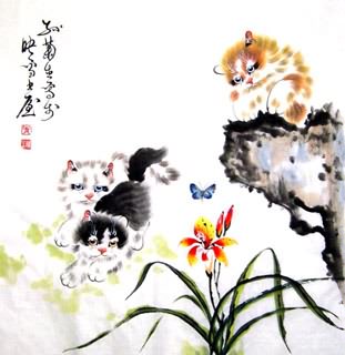 Chinese Cat Painting,69cm x 69cm,4489004-x