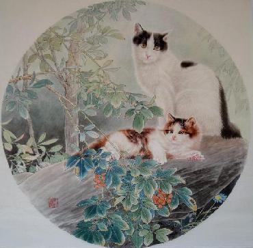 Chinese Cat Painting,66cm x 66cm,lbz41082002-x