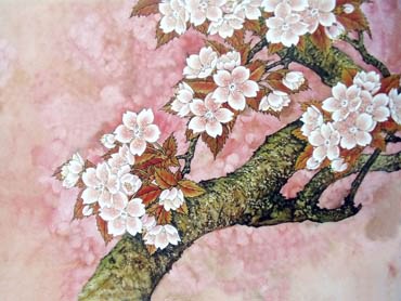 Chinese Cherry Blossom Painting,50cm x 70cm,2401003-x