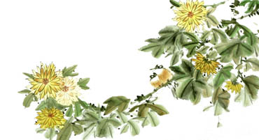 Chinese Chrysanthemum Painting,50cm x 100cm,2340059-x
