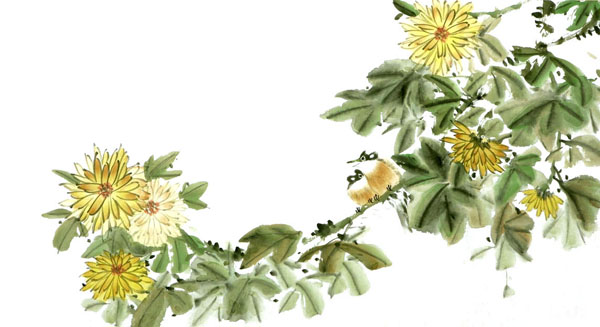 Chrysanthemum,50cm x 100cm(19〃 x 39〃),2340059-z