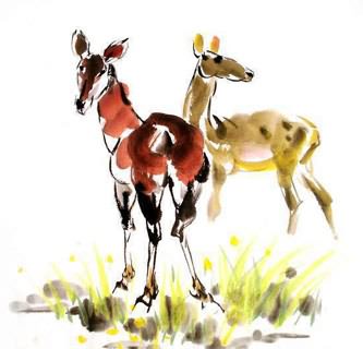 Chinese Deer Painting,69cm x 69cm,4458001-x