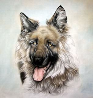Chinese Dog Painting,69cm x 69cm,4460005-x