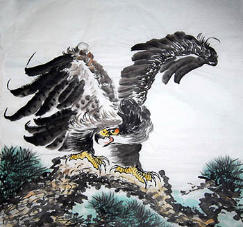 Chinese Eagle Painting,68cm x 68cm,dq41158004-x