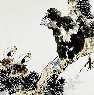 Chinese Eagle Painting,68cm x 68cm,sh41219001-x