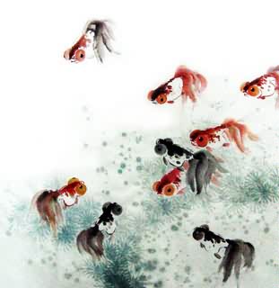 Chinese Goldfish Painting,66cm x 66cm,2805002-x