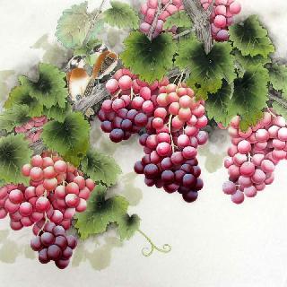 Chinese Grape Painting,66cm x 66cm,2387014-x