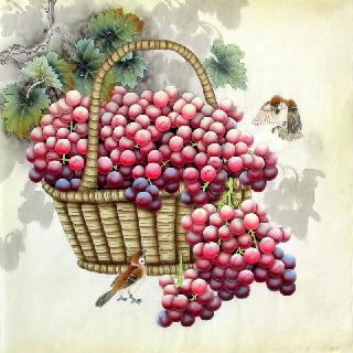 Chinese Grape Painting,66cm x 66cm,2387018-x