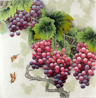 Chinese Grape Painting,66cm x 66cm,2387023-x