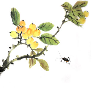 Chinese Insects Painting,33cm x 33cm,2421013-x