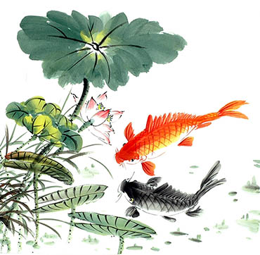 Chinese Koi Fish Painting,68cm x 68cm,xzx21112007-x