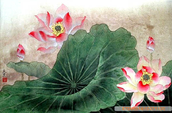 Lotus,50cm x 33cm(19〃 x 13〃),2320005-z