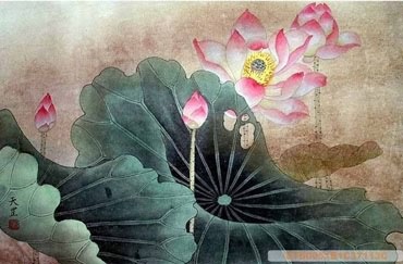 Chinese Lotus Painting,50cm x 33cm,2320008-x