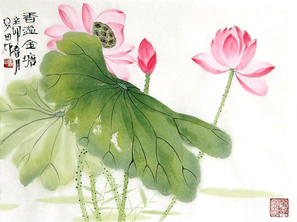 Lotus,34cm x 46cm(13〃 x 18〃),2388044-z