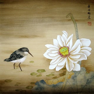 Chinese Lotus Painting,50cm x 50cm,2395008-x