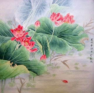 Chinese Lotus Painting,66cm x 66cm,2405004-x