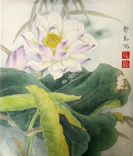 Lotus,34cm x 46cm(13〃 x 18〃),2405005-z