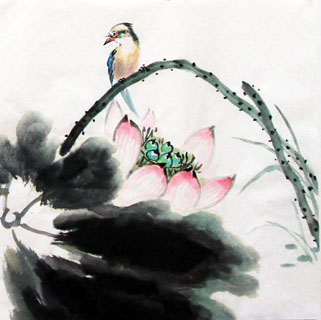 Chinese Lotus Painting,34cm x 34cm,2485051-x