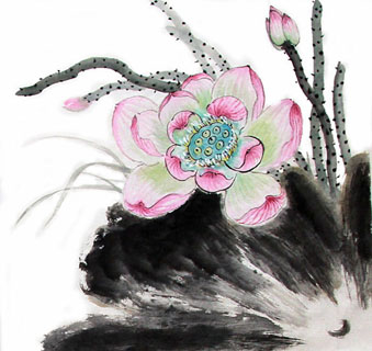Chinese Lotus Painting,34cm x 34cm,2485052-x