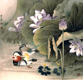 Chinese Lotus Painting,69cm x 69cm,2533038-x
