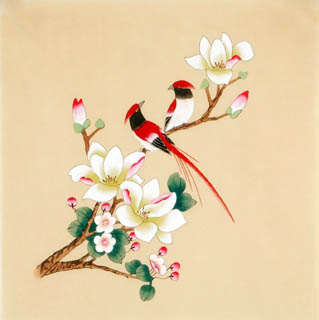 Chinese Magnolia Painting,40cm x 40cm,2340024-x