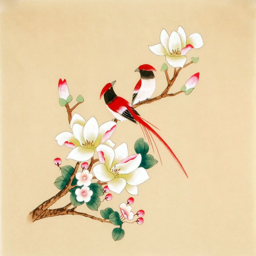 Magnolia,40cm x 40cm(16〃 x 16〃),2340024-z