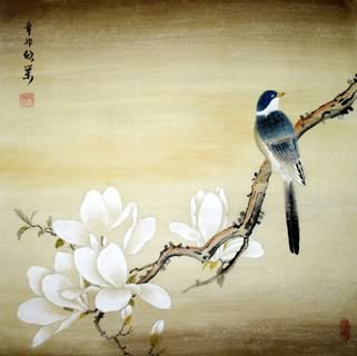 Chinese Magnolia Painting,50cm x 50cm,2395005-x