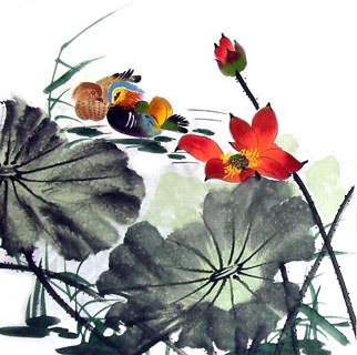 Chinese Mandarin Duck Painting,50cm x 50cm,2317006-x