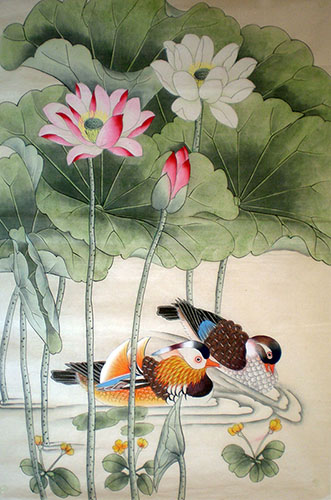 Mandarin Duck,43cm x 65cm(17〃 x 26〃),2527021-z