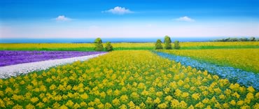 Landscape Oil Painting,50cm x 70cm,qsh6171002-x