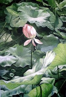 Floral Oil Painting,40cm x 50cm,6257005-x