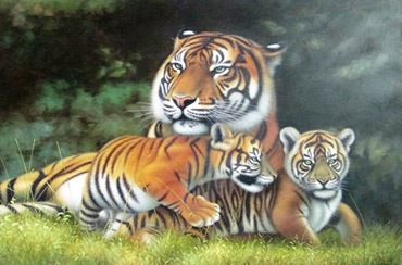 Animal Oil Painting,65cm x 100cm,6470012-x