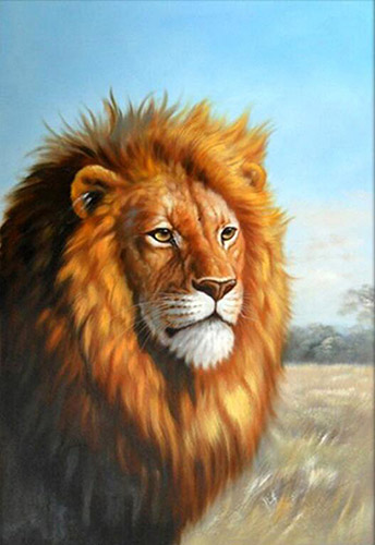Animal Oil Painting,50cm x 70cm(19〃 x 27〃),wyh6485008-z