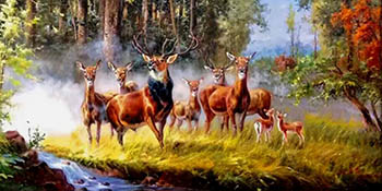Animal Oil Painting,50cm x 50cm,wyh6485016-x