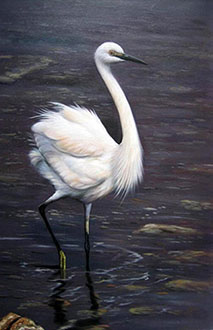 Animal Oil Painting,60cm x 90cm,wyh6485018-x