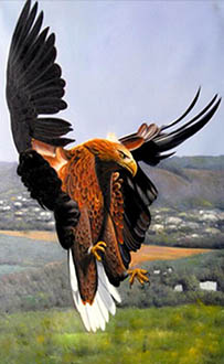Animal Oil Painting,40cm x 60cm,wyh6485019-x