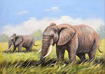 Animal Oil Painting,60cm x 90cm,wyh6485021-x