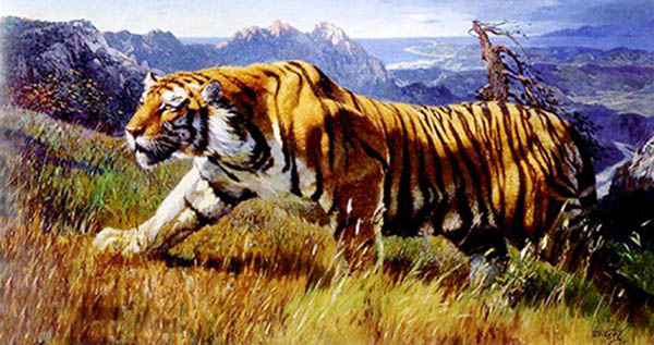Animal Oil Painting,60cm x 120cm(24〃 x 48〃),wyh6485022-z