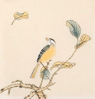Chinese Other Birds Painting,33cm x 33cm,2340086-x