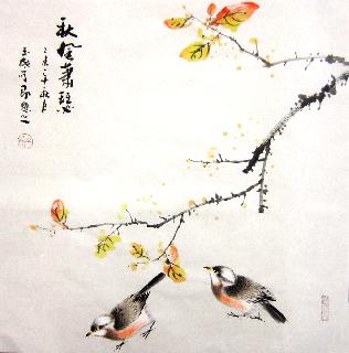 Chinese Other Birds Painting,50cm x 50cm,dyc21099028-x