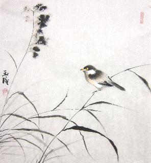 Chinese Other Birds Painting,50cm x 50cm,dyc21099031-x