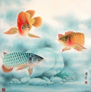 Chinese Other Fishes Painting,66cm x 66cm,2615004-x