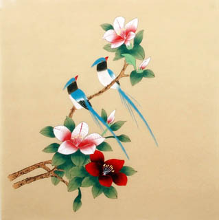Chinese Other Flowers Painting,40cm x 40cm,2340019-x