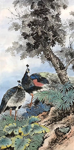 Peacock Peahen,68cm x 136cm(27〃 x 54〃),ll21187004-z