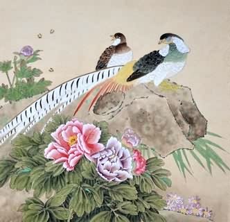 Chinese Pheasant Painting,50cm x 50cm,2416007-x