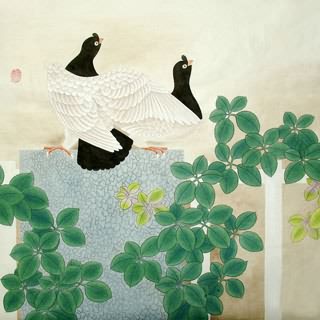 Chinese Pigeon Painting,66cm x 66cm,2409005-x